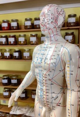 Les méridiens d'acupuncture sont sollicités lors de la pratique de la gymnastique des centenaires