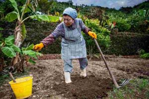 La population du Japon est le pays qui compte le plus de centenaires sur la planète.